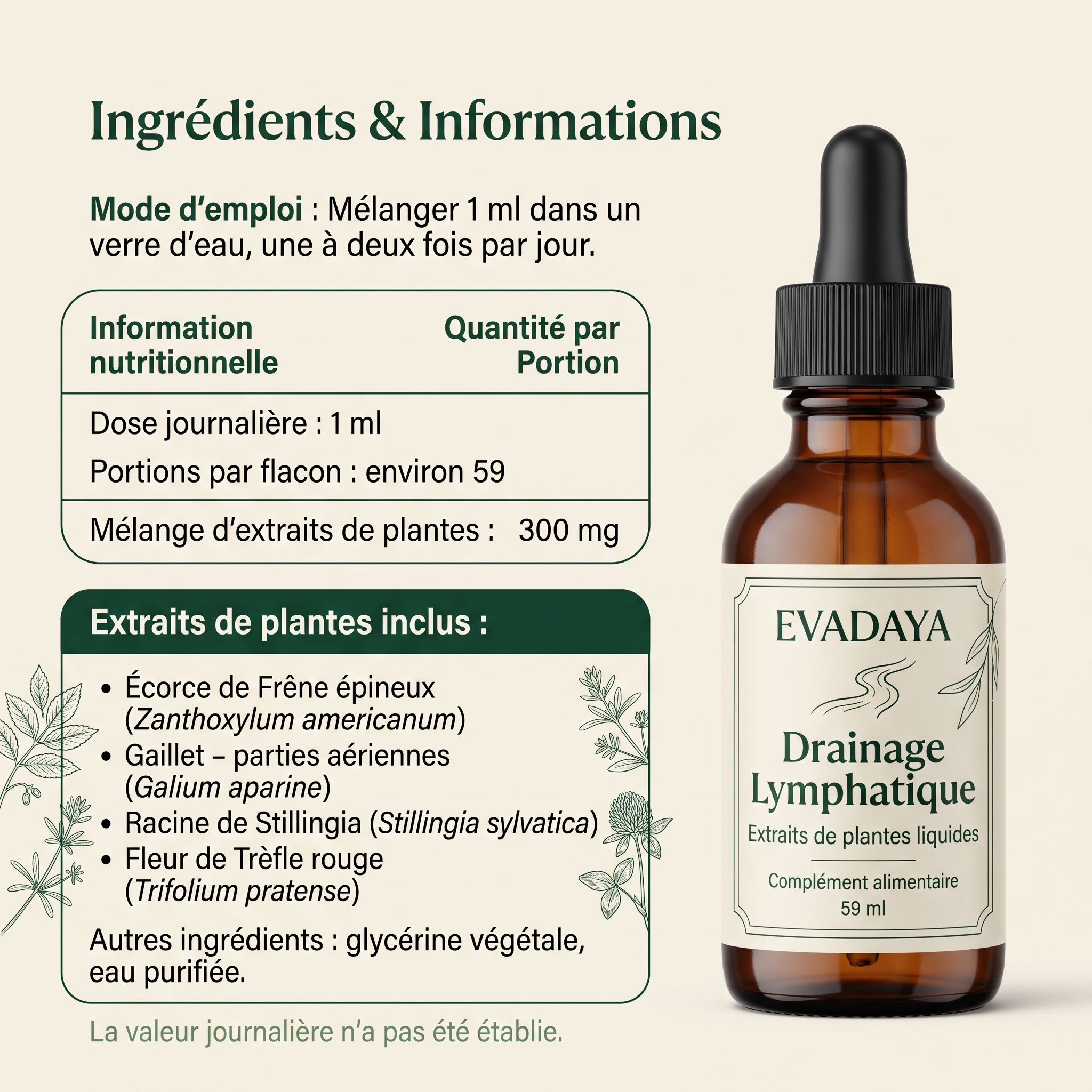 Drainage Lymphatique Evadaya