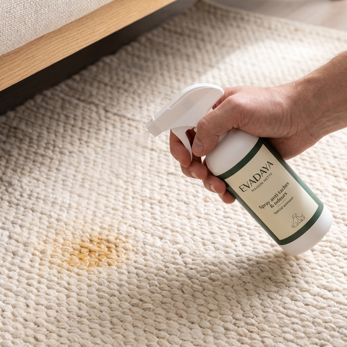 Application du spray Evadaya sur un tapis